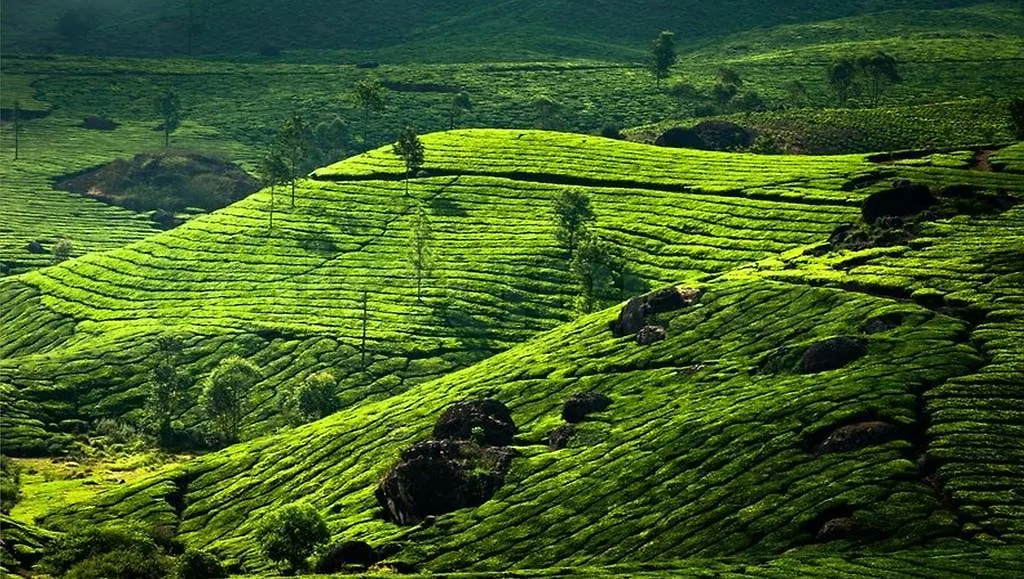 Clouds Valley Hotel Munnar 4*,  Indie